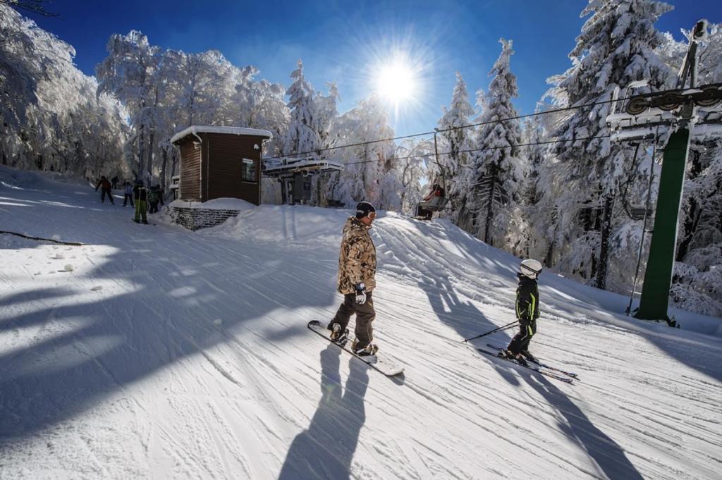 J-H APARTMÁNY SKIRESORT Buková Hora - Orlické hory Cervena Voda Exterior foto